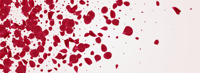 Red Petal Japanese Vector Panoramic White
