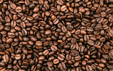 Roasted coffee beans