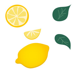 Yellow lemon with leaves and slices, great design for any purposes. Vector illustration. Organic concept.