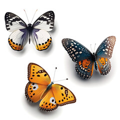 Obraz na płótnie Canvas Schmetterlingsarten im 3-D-Iconset – Generative AI