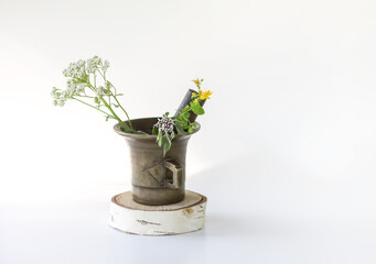 Medicinal herbs. Bright summer flowers in brass mortar. Yarrow plants