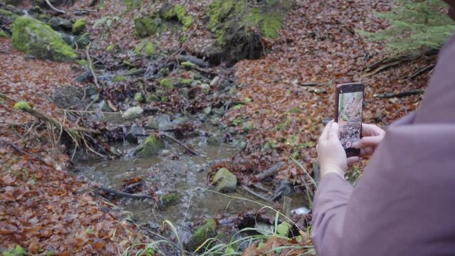 A tourist takes pictures on his phone of a stream in the autumn forest. Close-up, female hands holding a smartphone. Orange fallen leaves around the stream. Slow motion 120fps FullHD footage.