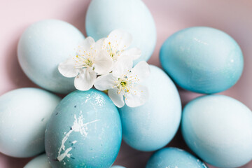 Fototapeta na wymiar Blue Easter eggs with spring cherry blossom