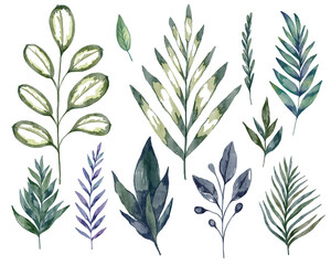 Set of tropical watercolor leaves. Collection of palm leaf, fern, herb, ficus, plant. Hand drawn floral design elements isolated on transparent background