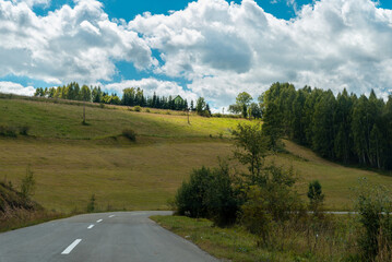 Forest mountain asphalt road with meadow grass and cloudy sky - 562519535