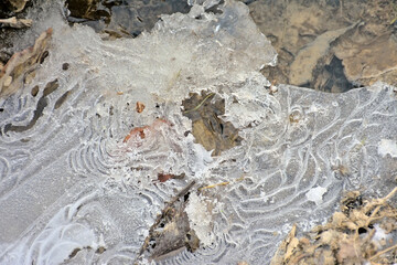 Ice and mud making patterns on the ground