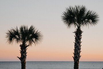 Pensacola and Alabama meet