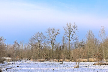 Meadows covered in snow and bare trees on a sunny day in Flemish Ardennes Munkzwalm, Flanders, Belgium 