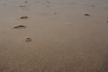 Fototapeta na wymiar Footprints on the sand background IA