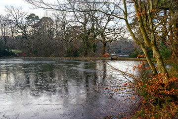 One of the Keston Ponds on Keston Common near the village of Keston in Kent, UK. A cold winter scene with ice on the surface of the pond. A bush has orange leaves.