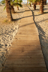Fototapeta na wymiar Wooden path in sand on a beach with palm trees