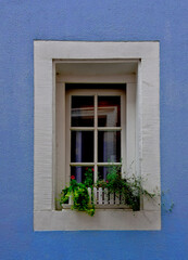 window, view, architecture, flowers on the window, blue, glass, summer, breeze, spring