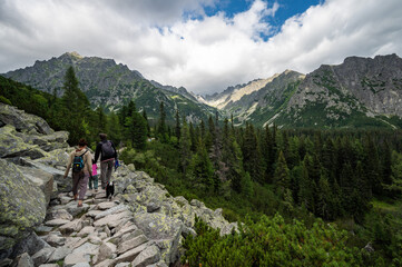 Fototapeta na wymiar High Tatras lanscape in Slovakia, Europe