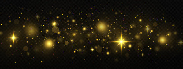 Fototapeta na wymiar Glowing golden light effect. Glitter dust of particles. Christmas concept. Magic background.