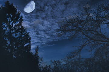 Fototapeta na wymiar Bedeckter Himmel in der Mondnnacht 