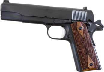 Semi auto pistol with wood grips