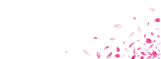 Color Flower Petal Vector Panoramic Background.