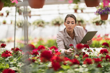 Woman With Digital Tablet Care About Flowers In Garden Center