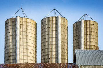 Three large, roofless stave silos with barn roofs and blue sky.