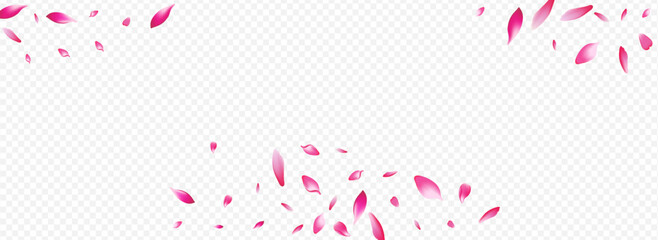 Pink Leaf Vector Panoramic Transparent