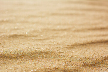 Fototapeta na wymiar Close up sand dune 