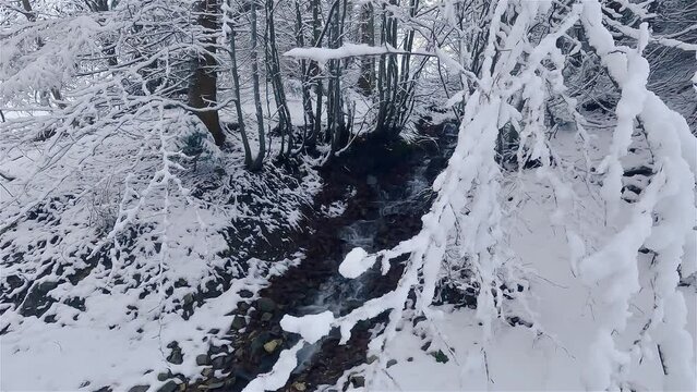 Winter forest stream creek in cold snowy frozen nature background