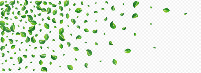 Lime Foliage Swirl Vector Panoramic Transparent