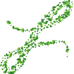 Lime Leaf Tree Vector White Background. Fly