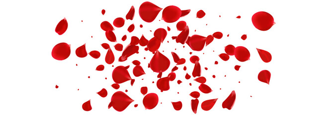 Red Flower Falling Vector Panoramic White