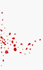 Beautiful Blossom Fall Vector Transparent