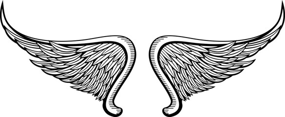 Angel wings drawing. Black ink feathers logo