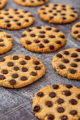 delicious vanilla and chocolate chip cookies