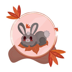Isolated cute rabbit autumn animal Vector