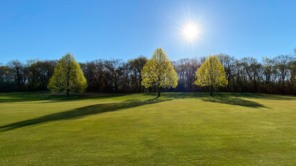 Plakat golf course in the sunny morning