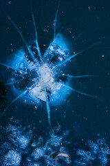 blue ice with a round impact mark and cracks that diverge from it with a texture in winter taken from a point from above