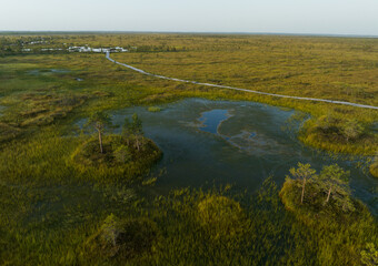 Ecotrail with wooden decking in the swamp. Wild mire of Yelnya in Belarus. walking wooden path to the swamp. East European swamps and Peat Bogs. Ecological reserve in wildlife. Swampy land and wetland