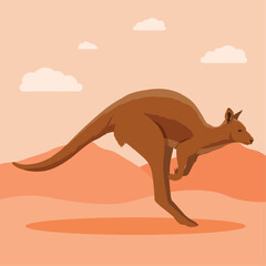 australian kangaroo in desert