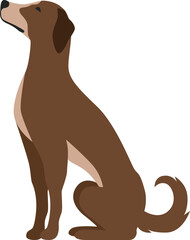 Dog sitting pose. Cartoon pet side view