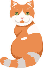 Obraz na płótnie Canvas Funny tabby cat. Ginger pet. Fluffy animal