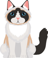 Fluffy cute cat sitting. Cartoon ragdoll breed icon