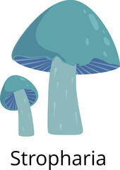 Stropharia icon. Forest mushroom. Natural organic fungus