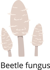 Beetle fungus icon. Natural toxic mushroom symbol