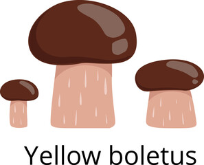 Yellow boletus icon. Raw mushroom. Cartoon fungus