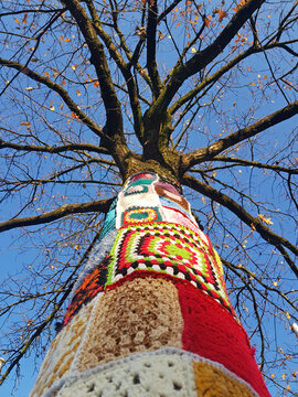 guerilla knitting on tree in the city