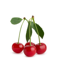 Ripe cherries with leaves on a white isolated background