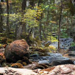 Paisagem criada por IA