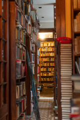 Obraz premium Libros5