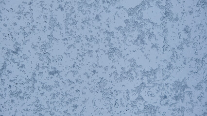 Fondo de copos de nieve en el cristal durante el invierno