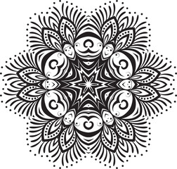 Mandala. Snowflake. Decorative round ornaments. Black and white vector illustration