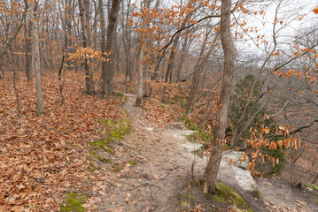 Bluff Trail.